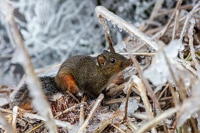 像素风悠闲钓鱼RPG《钓鱼天堂》 将于6月在Steam发售