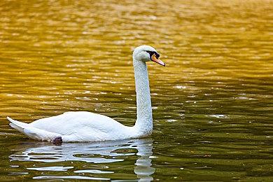 《Apex英雄》总监回答为什么改战斗通行证 反作弊是一个长期问题