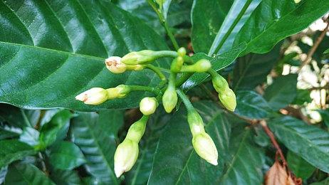 被取消的《终极蜘蛛侠2》游戏据传可操作绿魔等角色